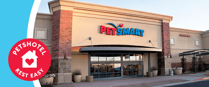 PetSmart Doggie Day Camp - Mesa