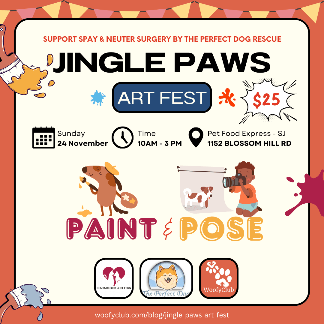 Jingle Paws Art Fest - 24th November 2024 - Paint & Pose with your pup!