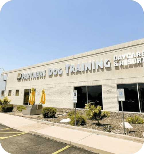 Partners Dog Training, Resort, and Daycare - Scottsdale