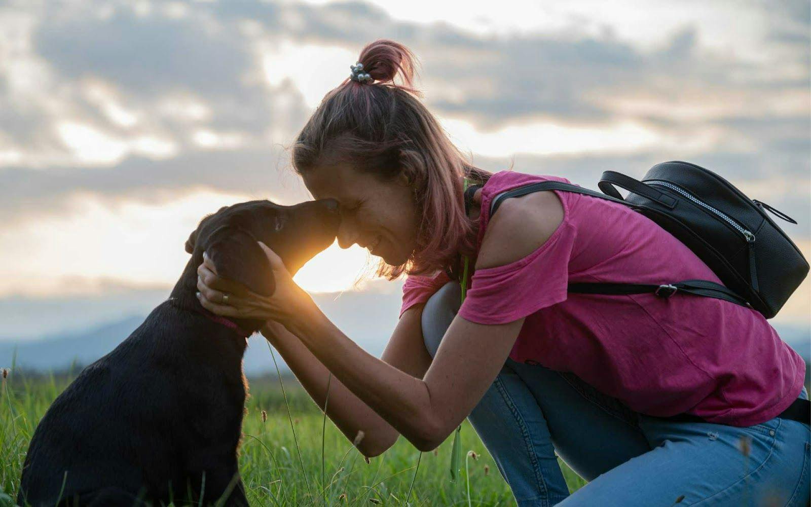 Dog Boarding Near Orinda, Ca Exploring Affordable And Family-Friendly Options