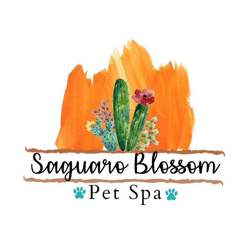 Saguaro Blossom Pet Spa