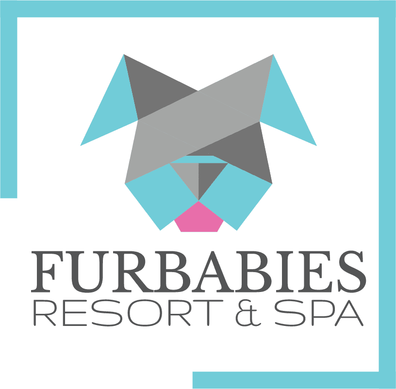 FurBabies Resort and Spa - Scottsdale 2